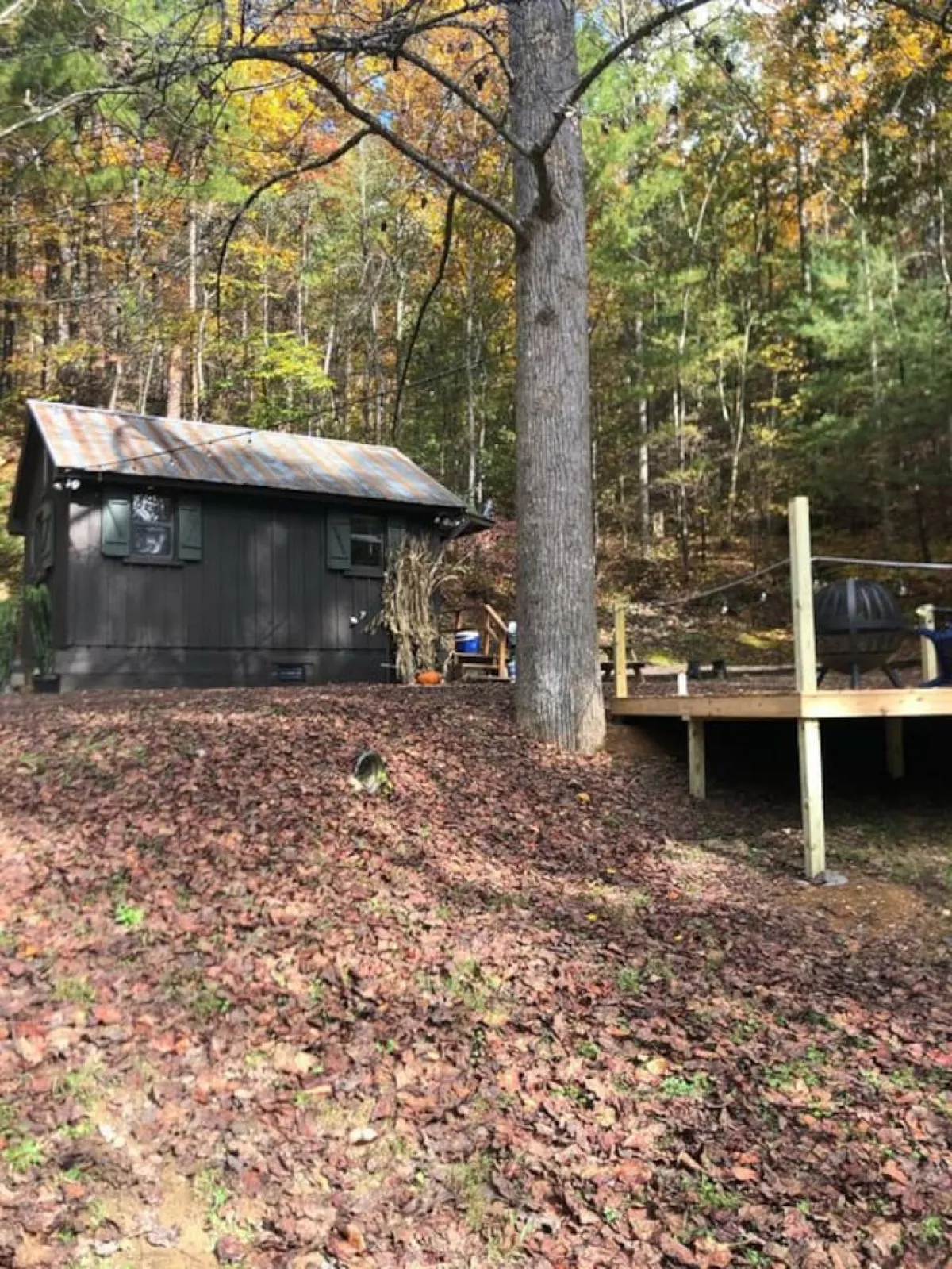 This image displays the exterior of the small Sly Fox cabin nestled among mature trees, with a welcoming deck area that blends seamlessly into the wooded landscape. The scene suggests a tranquil, secluded setting perfect for couples seeking privacy and a romantic getaway close to nature.