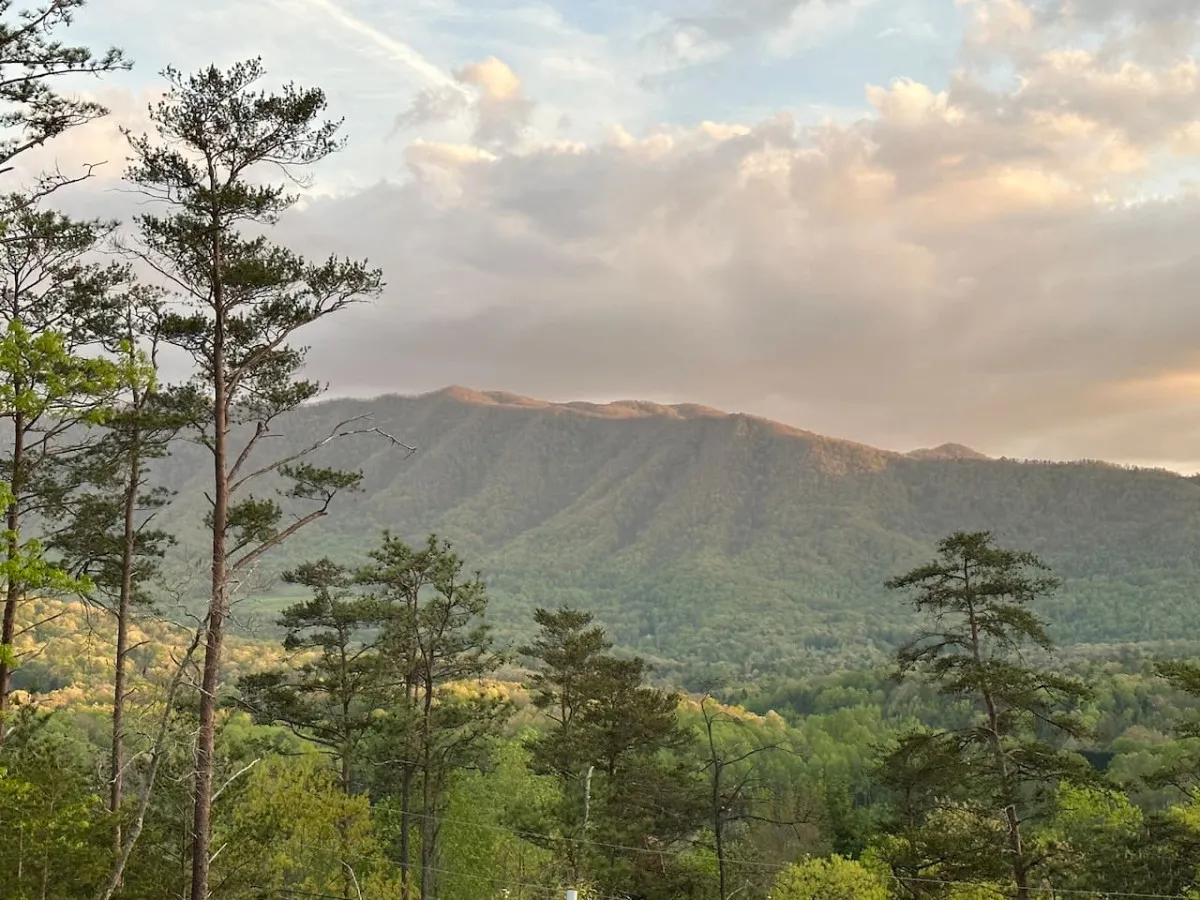 A breathtaking view across a serene mountain range, with a tree-lined valley below and scattered clouds overhead. The vantage point suggests a tranquil spot ideal for reflection, outdoor activities, or simply soaking in the natural beauty surrounding the resort.