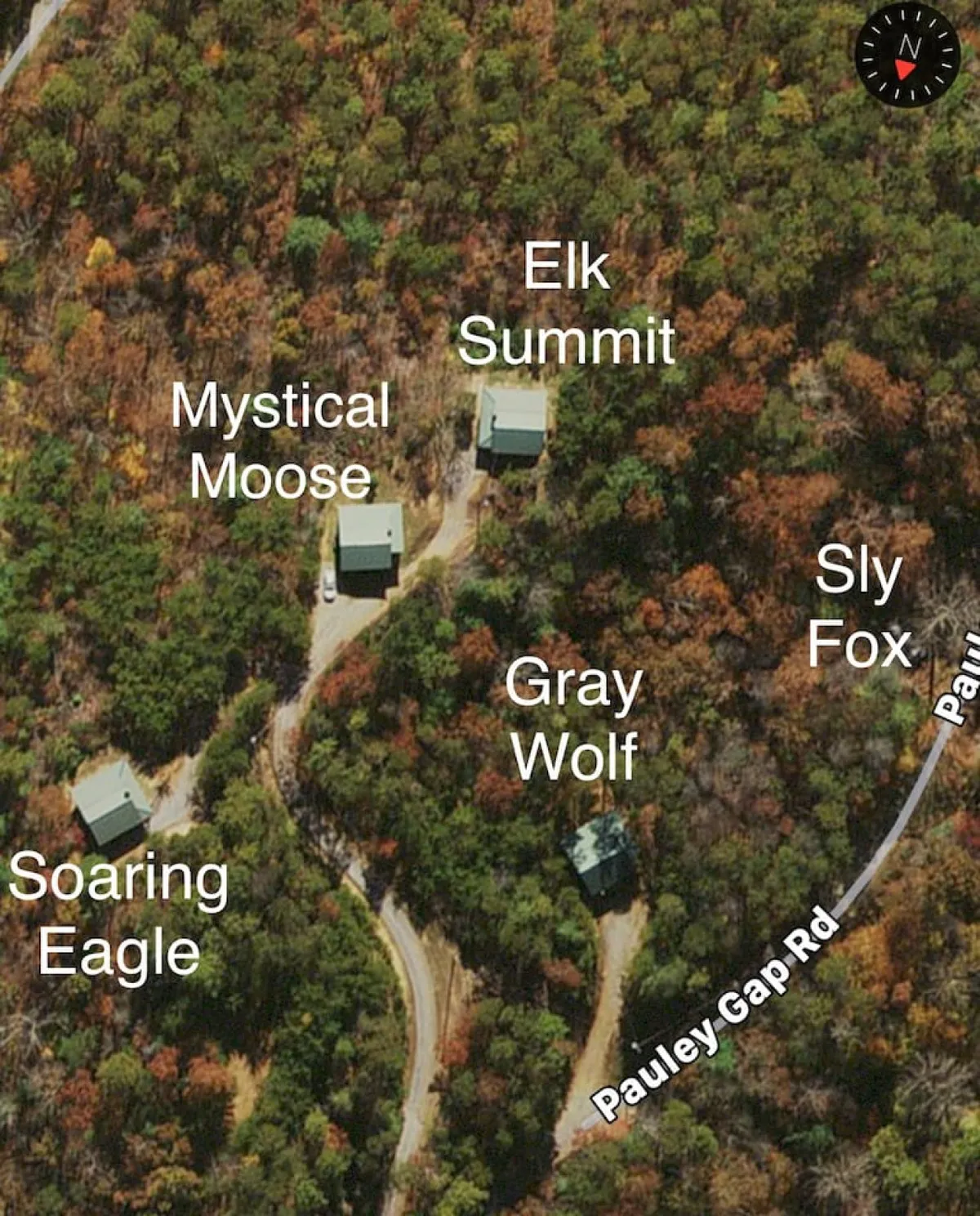 A sweeping exterior view highlights multiple cabins nestled among lush woods along Pauley Gap Road, including Sly Fox, with paths leading into the forest. The tranquil environment showcases direct access to nature for hiking and walks.