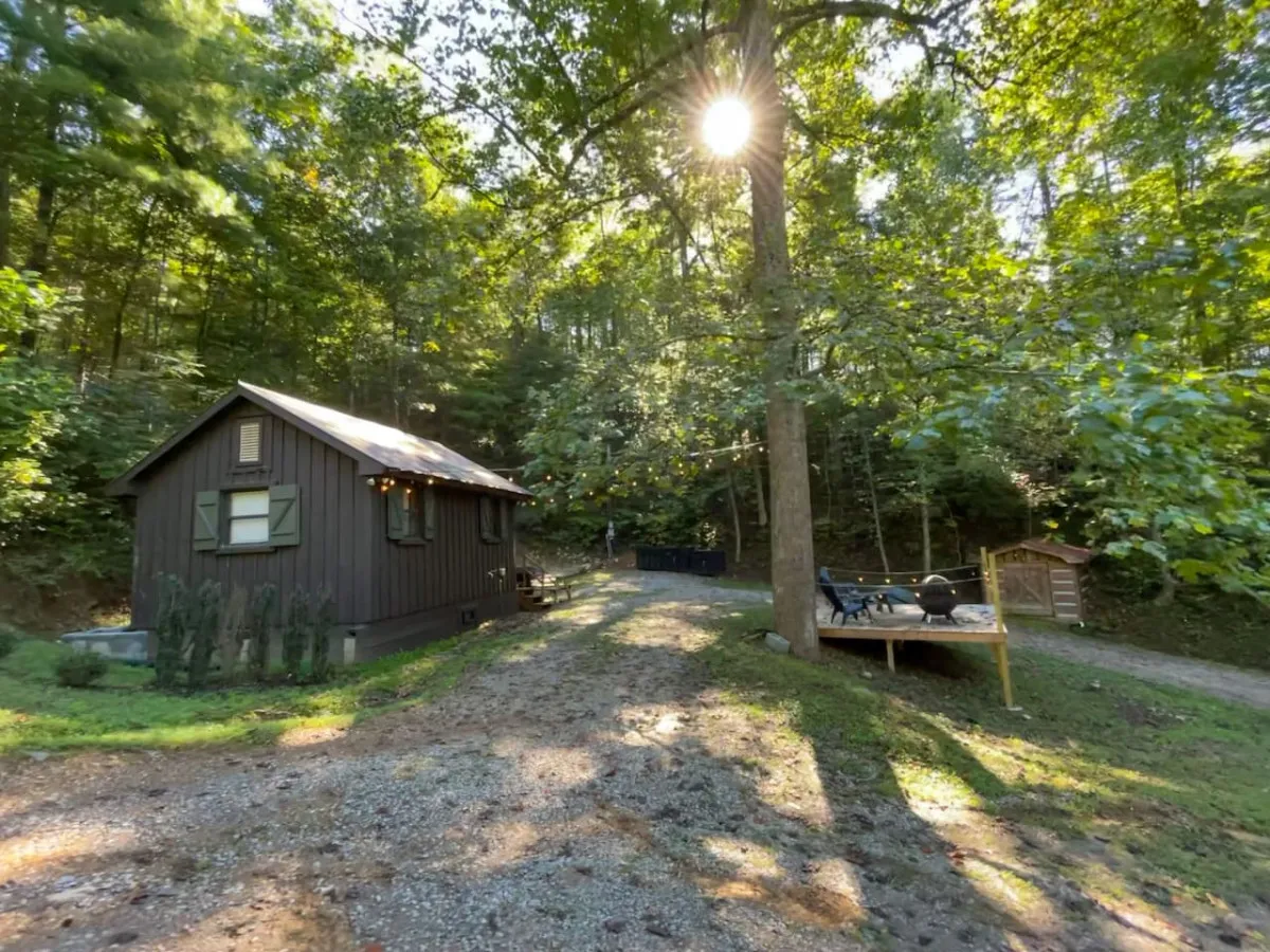 A picturesque exterior scene featuring a rustic cabin set under a large tree with sunlight filtering through the leaves. The patio area has comfortable seating, inviting guests to relax and soak in the atmosphere. The space encourages outdoor enjoyment, whether for peaceful walks, family gatherings, or simply appreciating nature.